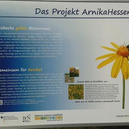 Schlummerkiste Og Sonnenblume Херборн